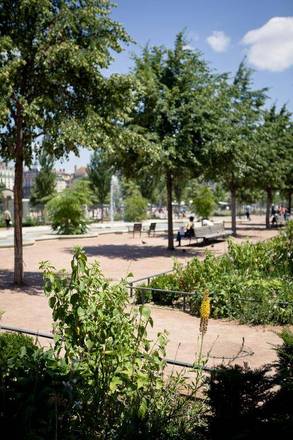 Bayard Bellecour, Lyon
