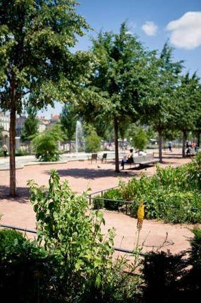 Bayard Bellecour, Lyon