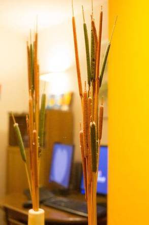 Europe Hotel Vieux Port, Marseille